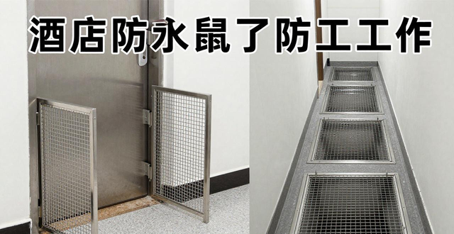 宾馆灭老鼠_酒店灭老鼠_餐饮灭老鼠